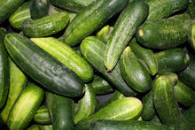 Cucumber mix 100 seeds