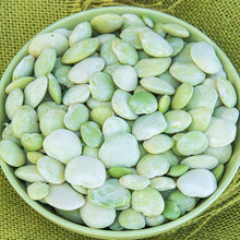 Fordhook 242 Lima Bean - beyond organic seeds