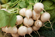 White Japanese Turnip - beyond organic seeds