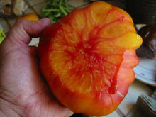 Striped German Heirloom Tomato - beyond organic seeds