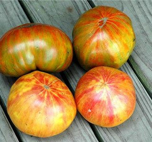 Copia tomato - beyond organic seeds