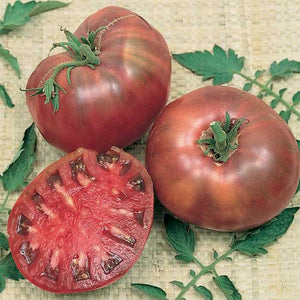 Cherokee Purple Heirloom Tomato - beyond organic seeds