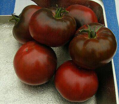 Black from Tula Heirloom Tomato - beyond organic seeds
