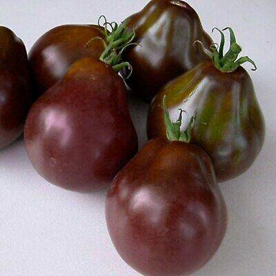 Black Truffle Tomato - beyond organic seeds