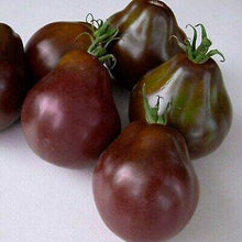 Black Truffle Tomato - beyond organic seeds