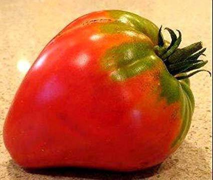 German Strawberry Tomato - beyond organic seeds