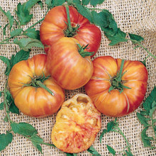 Old German Heirloom Tomato - beyond organic seeds