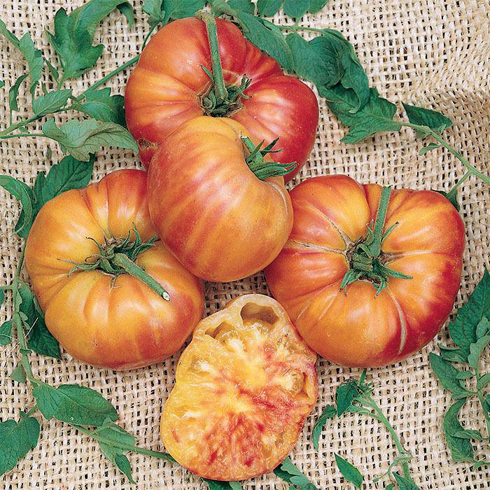 Old German Heirloom Tomato - beyond organic seeds