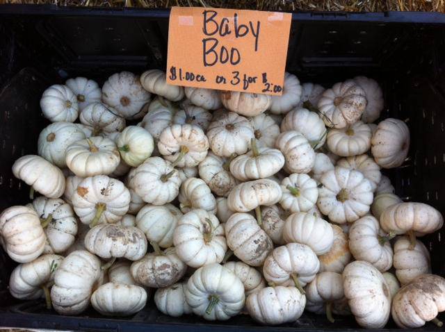 Baby Boo Mini White Pumpkin - beyond organic seeds