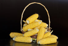 Truckers favorite. Yellow corn - beyond organic seeds