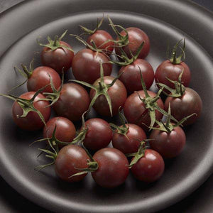 Chocolate Cherry Tomato - beyond organic seeds