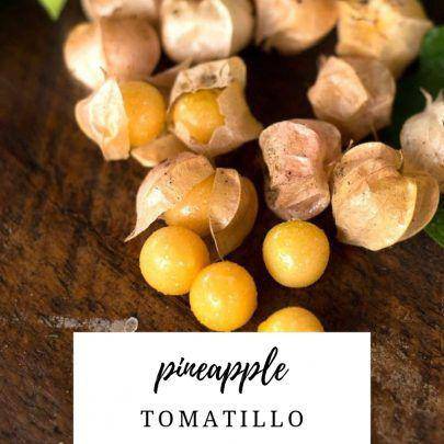 Pineapple Tomatillo - beyond organic seeds