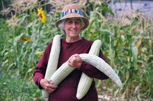 Armenian Yard-Long Cucumber (50 plus pack) - beyond organic seeds