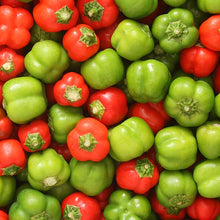 Mini bell pepper mix - beyond organic seeds