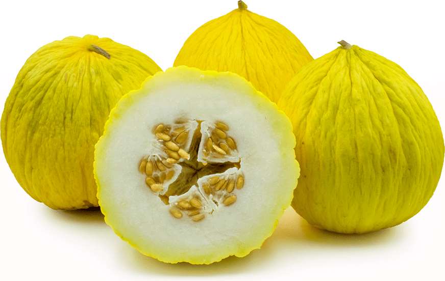 Casaba Melon (Yellow) - beyond organic seeds