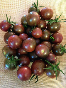 Chocolate Cherry Tomato - beyond organic seeds