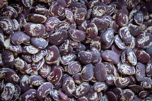 Christmas lima beans - beyond organic seeds