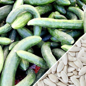 Chinese Snake Curled Cucumber - beyond organic seeds