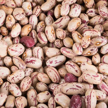 Cranberry beans - beyond organic seeds