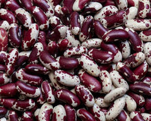 Jacobs cattle beans - beyond organic seeds
