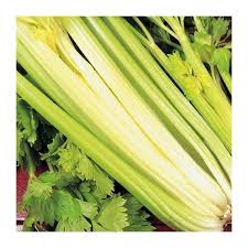 Giant goldrn.pacsal celery - beyond organic seeds