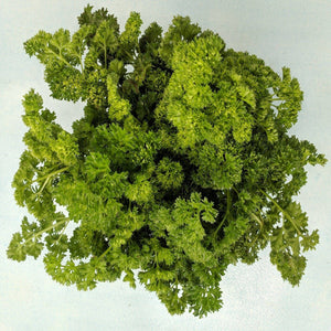Moss Curled Parsley - beyond organic seeds