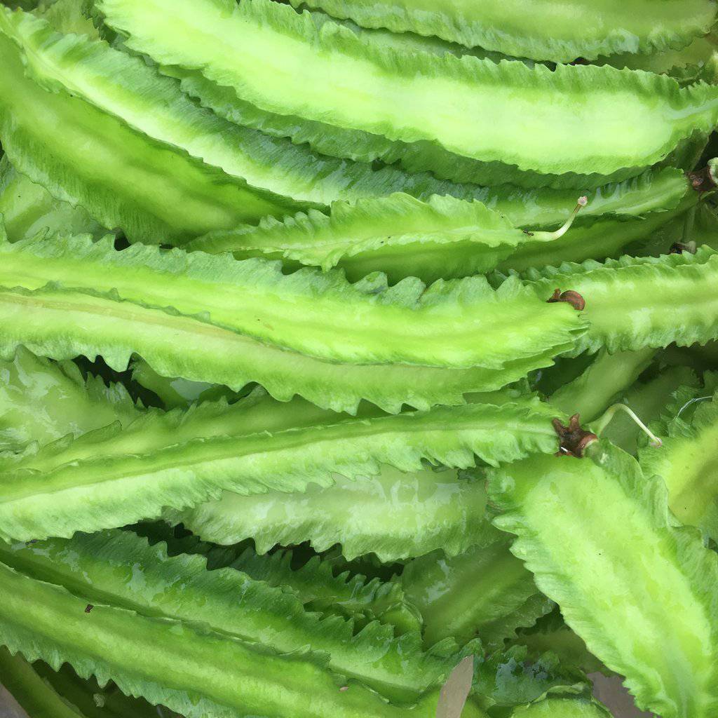 Winged Green Beans - beyond organic seeds