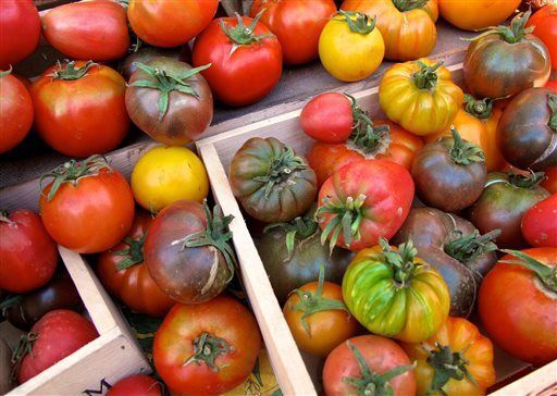 Heirloom tomato assortment - beyond organic seeds