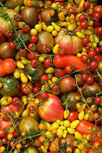 Heirloom tomato assortment - beyond organic seeds