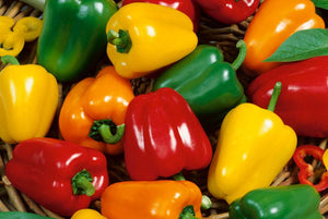 Mini bell pepper mix - beyond organic seeds