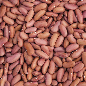 Light red kidney bean seeds - beyond organic seeds