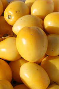 Powers Heirloom Tomato - beyond organic seeds