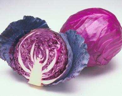 Red Acre Cabbage - beyond organic seeds