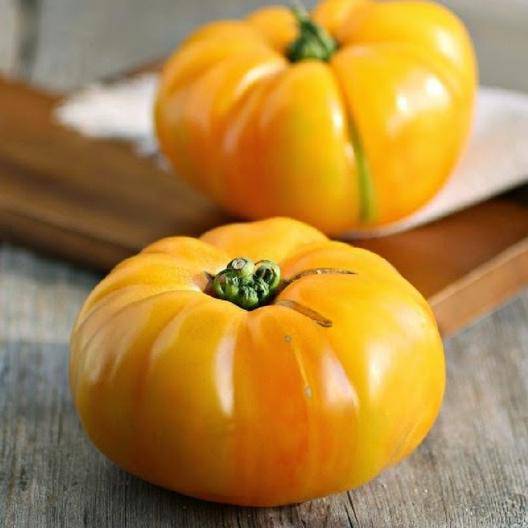 Yellow Brandywine Heirloom Tomato - beyond organic seeds