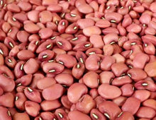 Red ripper cowpea seed - beyond organic seeds