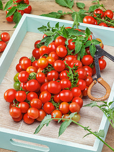 Small cherry tomatoes