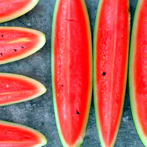 Charleston grey watermelon - beyond organic seeds