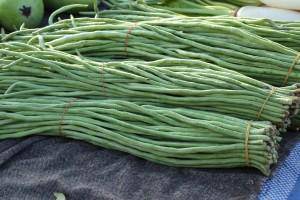 Yard Long Green Beans - beyond organic seeds