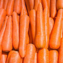 Brilliance Carrot - beyond organic seeds
