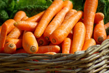 Brilliance Carrot - beyond organic seeds