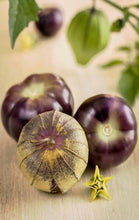 Purple Tomatillo - beyond organic seeds