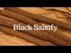 Black Salsify - beyond organic seeds