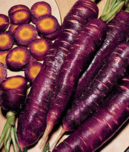 Cosmic Purple Carrot - beyond organic seeds