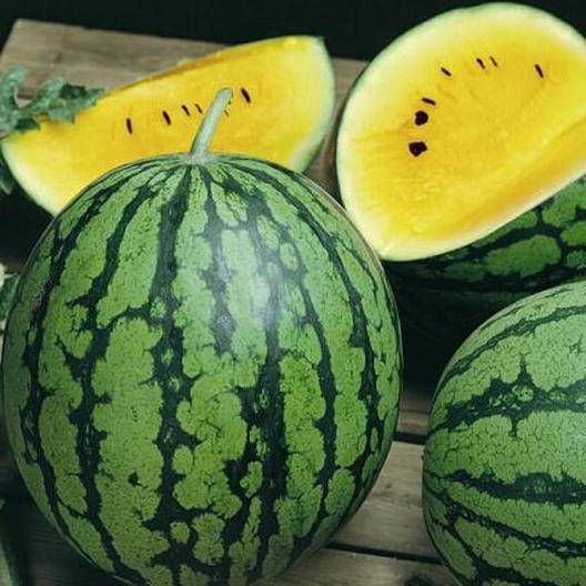 Yellow Petite Watermelon - beyond organic seeds