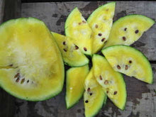 Yellow Petite Watermelon - beyond organic seeds