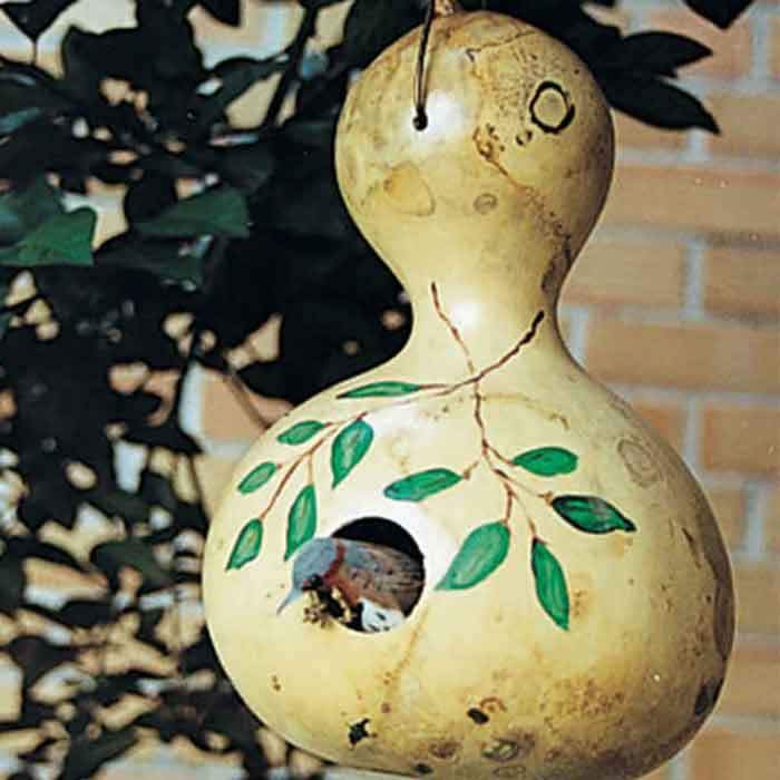 Bird House Gourds - beyond organic seeds