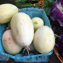 Salt & Pepper Pickling Cucumbers - beyond organic seeds
