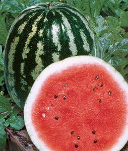 Crimson Sweet Watermelon - beyond organic seeds
