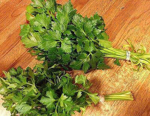 Nan Ling Cutting Celery - beyond organic seeds