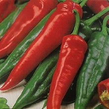 Big Jim Hot Pepper - beyond organic seeds